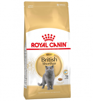 Royal Canin British Shorthair Adult 10 kg Kedi Maması kullananlar yorumlar